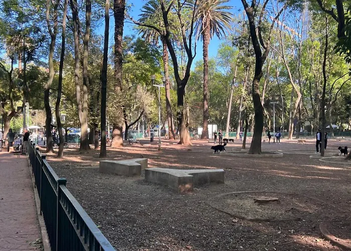 Condesa Campeche 3 Charm 2br 1ba With Expansive Living Space *